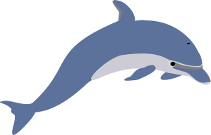 dolphin